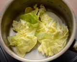 春キャベツと豚肉のミルフィーユ作り方2写真