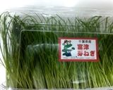おつまみに〜♫芽ネギ寿司と鯛の手毬寿司作り方2写真