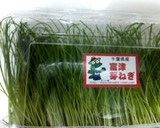 おつまみに〜♫芽ネギ寿司と鯛の手毬寿司作り方2写真