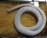 アオダイショウ（ヘビ）の塩焼き作り方4写真