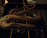 アオダイショウ（ヘビ）の塩焼き作り方6写真