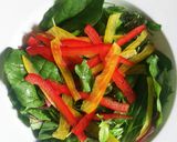 生野菜と一緒に♪豚の味噌漬け焼き作り方7写真
