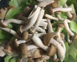 春キャベツと鶏肉のオイスターソース炒め作り方7写真