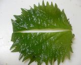 小アジで3種類！お弁当のおかず作り方4写真