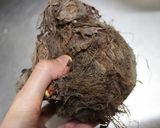 チンして焼くだけ♪里芋(親芋)のステーキ作り方5写真