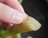 全工程図解説付き！ふきの下処理のやり方！作り方9写真