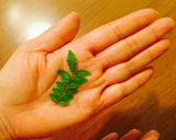 簡単☆木の芽とクリームチーズのせバケット作り方2写真