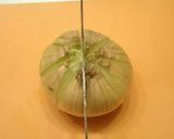 ✾丸ごと新玉ねぎのオーブン焼き✾作り方1写真