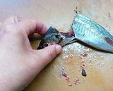 アジの開きを作ってみよう作り方3写真