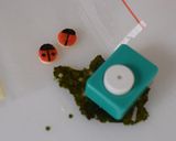 【キャラ弁】カニカマてんとう虫弁当作り方4写真