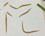 洋菓子細工☆ムカデ(※グロ注意)作り方5写真
