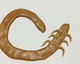 洋菓子細工☆ムカデ(※グロ注意)作り方6写真