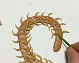 洋菓子細工☆ムカデ(※グロ注意)作り方7写真
