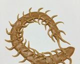 洋菓子細工☆ムカデ(※グロ注意)作り方8写真