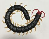 洋菓子細工☆ムカデ(※グロ注意)作り方16写真