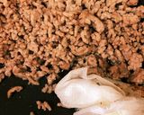 簡単☆ふるふる麻婆豆腐作り方2写真