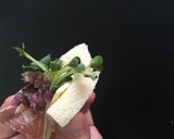 超簡単・パーティにパンカナッペPart2作り方7写真