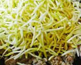 塩麹deパパイヤイリチー作り方5写真