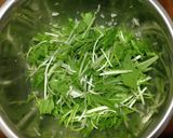 シンプル！新玉葱と水菜のサラダ作り方4写真