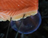 炙りサーモン作り方4写真