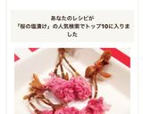 フワッと咲いた。桜の塩漬け使い方コツ作り方7写真