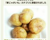 簡単！新ジャガDE丸ごとフライドポテト♪作り方7写真