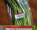 国産アスパラソバージュの生ハム巻き作り方1写真