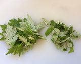 ♡春の炊くだけご飯！よもぎ☆ひじき入り♡作り方1写真