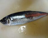 豆アジの南蛮漬け作り方1写真