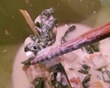 美味♪スイスチャード(ふだん草)の天ぷら作り方6写真