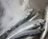 春キャベツとイワシのパスタ作り方1写真