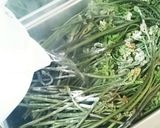 ワラビのあく抜き作り方3写真