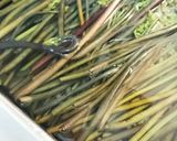 ワラビのあく抜き作り方6写真