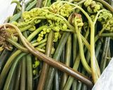 ワラビのあく抜き作り方8写真