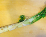 【簡単】皮まで美味！ウドの下ごしらえ作り方1写真