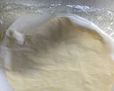 PIZA ピザ生地　カリカリ　HＢ簡単作り方16写真