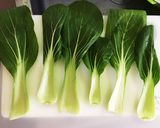 青梗菜と油揚げのまきまきオイスターソース作り方1写真