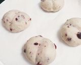 ふわふわ クランベリーの白パン作り方6写真