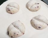 ふわふわ クランベリーの白パン作り方7写真