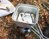 ジェノベーゼごはん（山メシ）作り方1写真