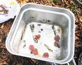 ジェノベーゼごはん（山メシ）作り方2写真