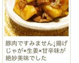 新じゃがの季節に♡生姜甘辛炒め肉じゃが作り方14写真