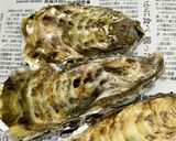 殻付き牡蠣 蒸し牡蠣Ver.作り方1写真