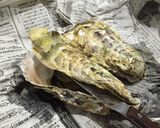 殻付き牡蠣 蒸し牡蠣Ver.作り方2写真