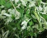 母の草餅 ヨモギのゆで方作り方1写真
