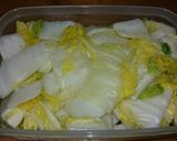 白菜 塩漬け作り方5写真