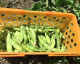 ☆旬の味 豆ご飯☆作り方1写真
