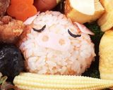 キャラ弁✩動物弁当✩動物園へ作り方6写真