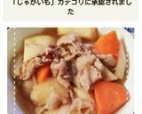 レンジ時短で簡単！黄金比肉じゃが作り方12写真