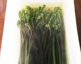 蕨の灰汁抜き　5月の楽しみ作り方4写真